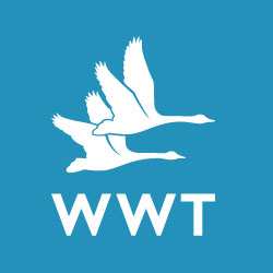 Wildfowl & Wetlands Trust Limited