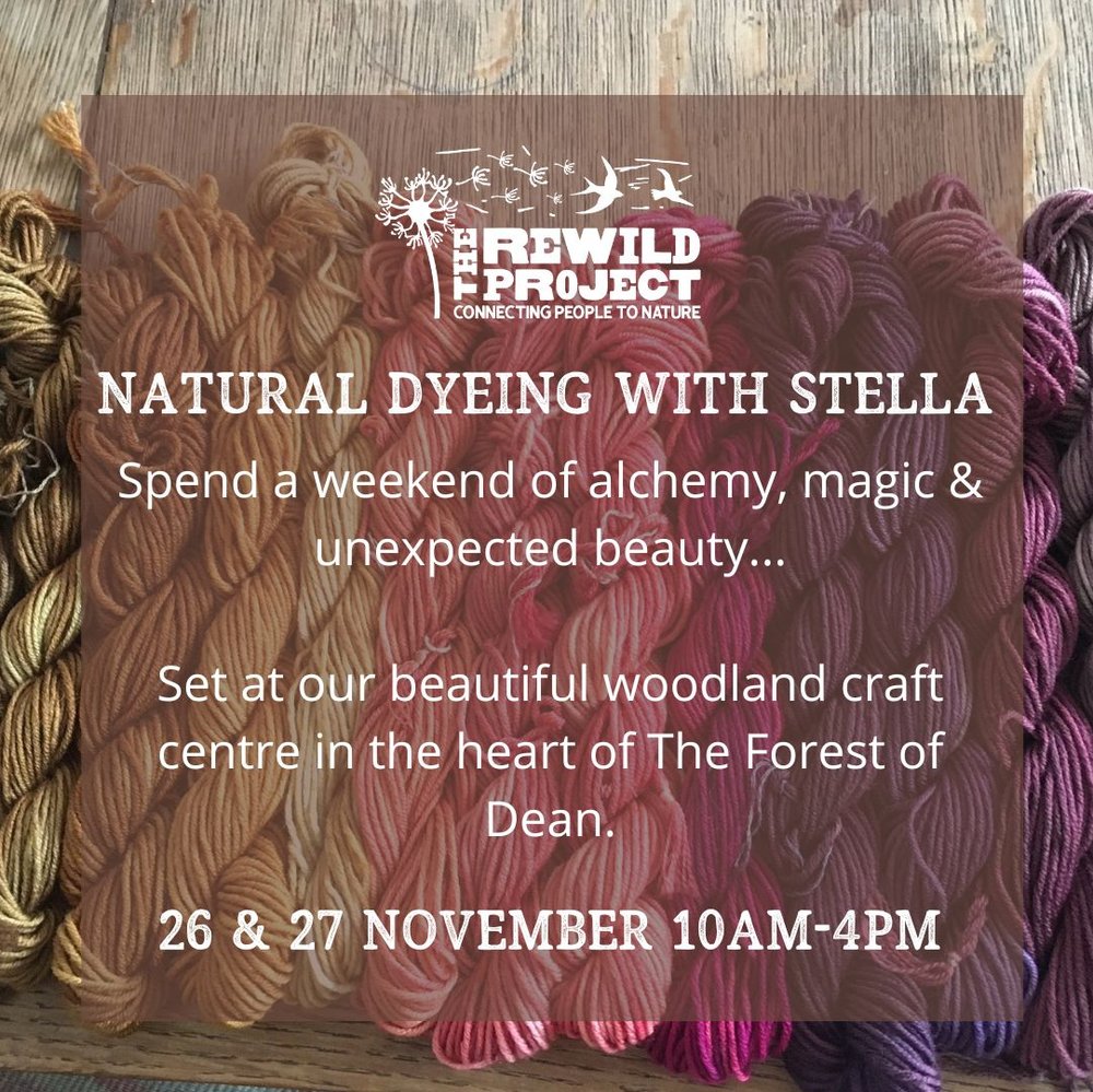 Natural Dyeing with Stella : Winter Warmers